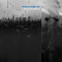 Matthew Shipp Trio The Unidentifiable